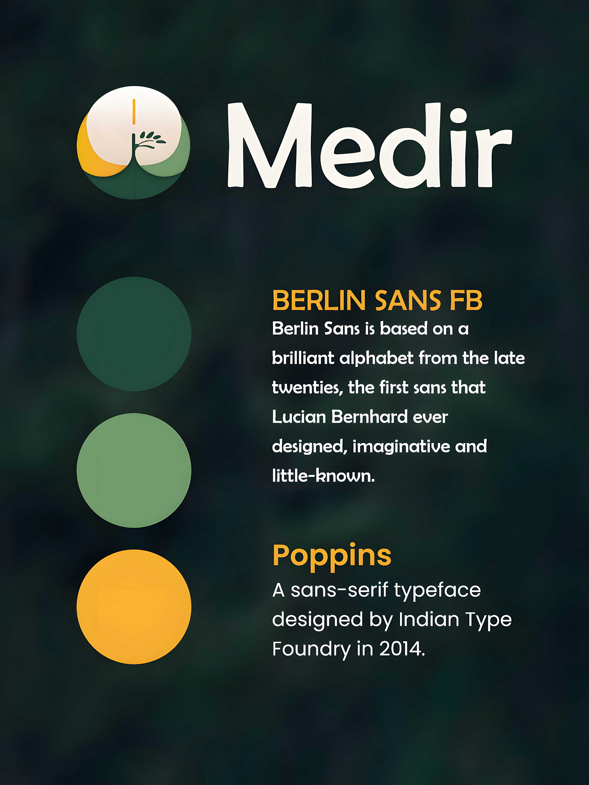 The Medir identity board: the logo on a dark green background, the palette (dark green, light green, yellow) and the Berlin Sans FB and Poppins typefaces
